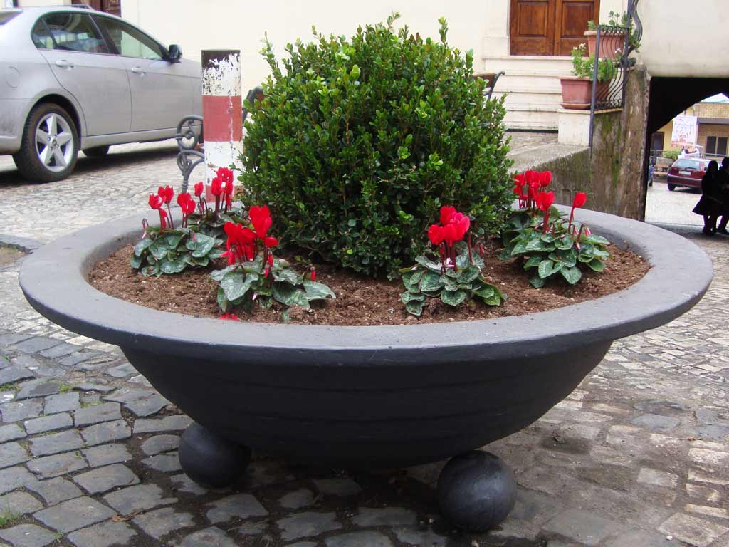 DSC00375.jpg