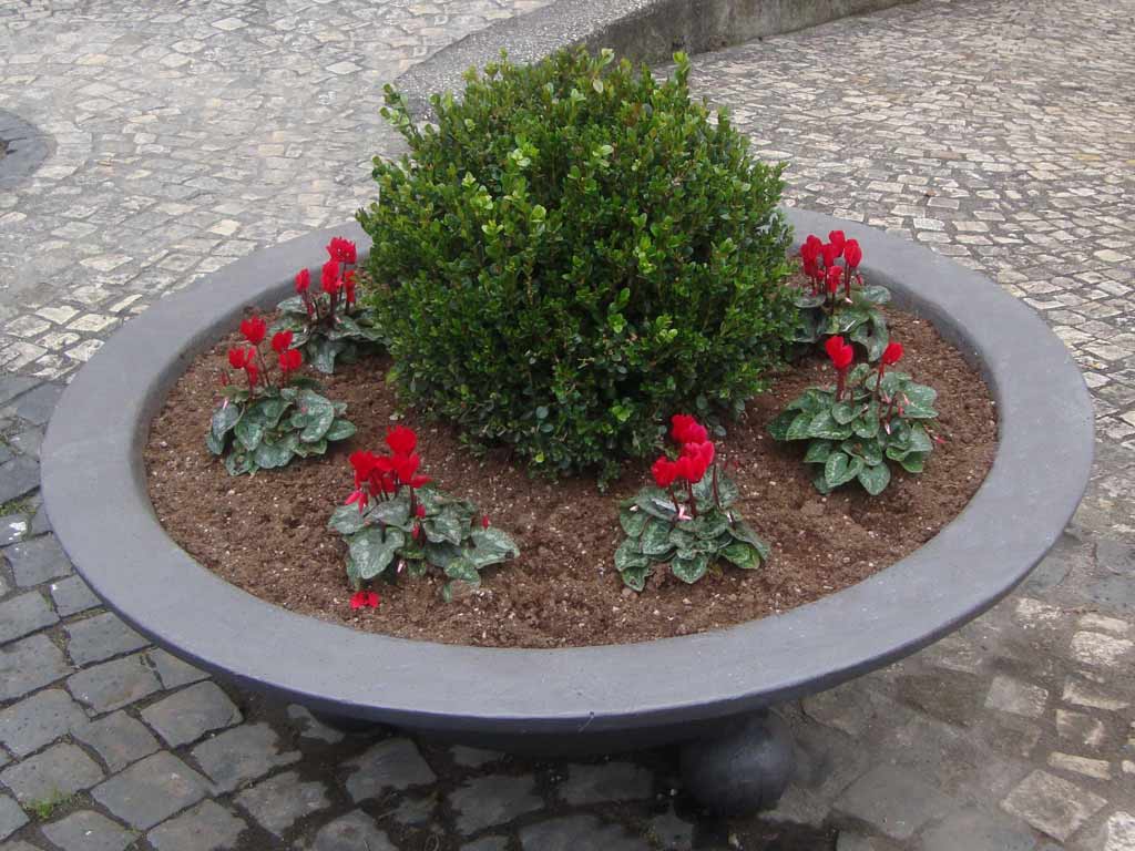 DSC00376.jpg