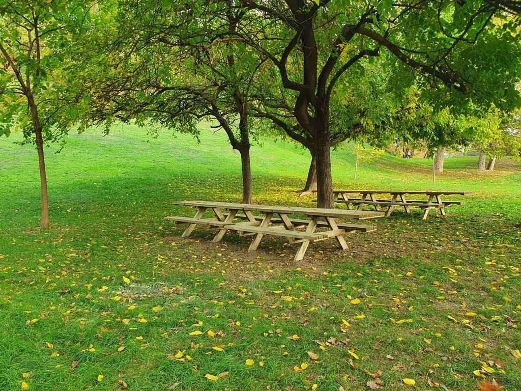 picnic inclusivo in legno pino impregnato1 parco lambro milano.jpeg