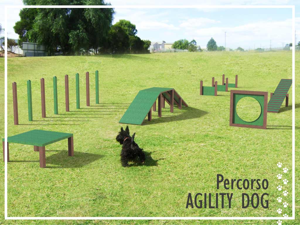 ttrezzi per Agility Dog in Strongplast pacchetto completo