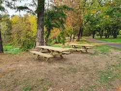 PIC NIC inclusivo