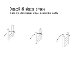 Ostacoli diverse altezze Agility Dog in Strongplast