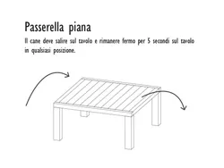 passerella piana percorso cani strongplast.jpg